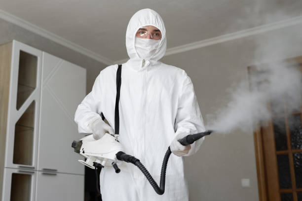 Best Mold Remediation for Healthcare Facilities  in Oelwein, IA